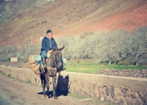 Photo 11-12-12 19 37 16